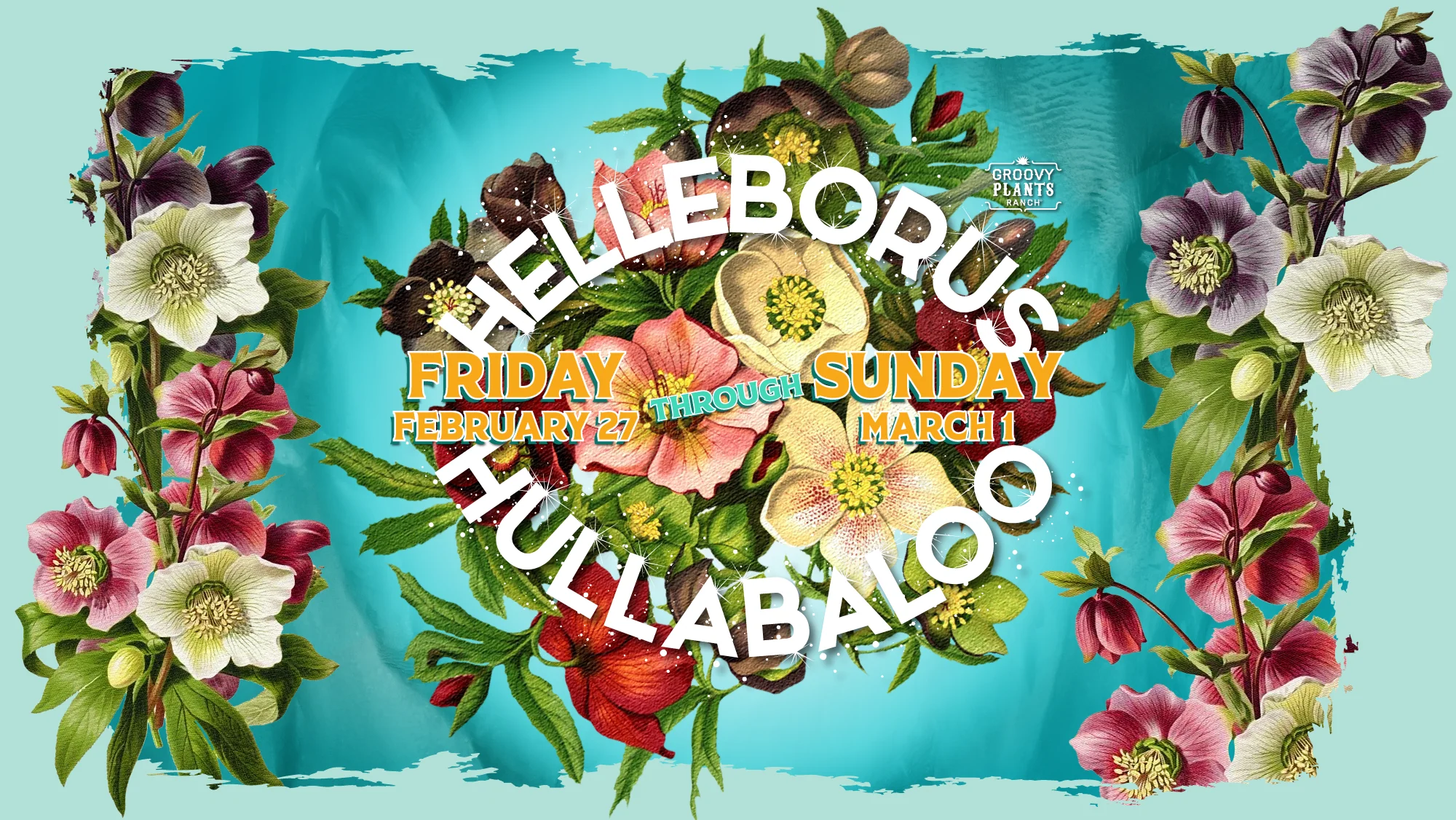 Unearth Your Grooviest Style